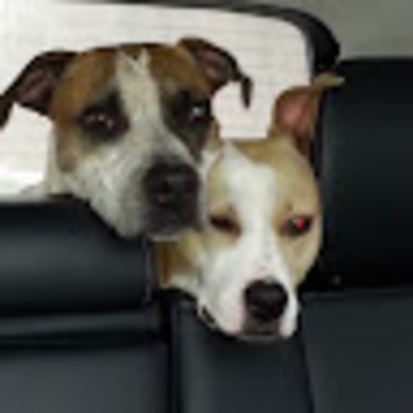 Meet your Posher, Chris - Picture 1 of 1